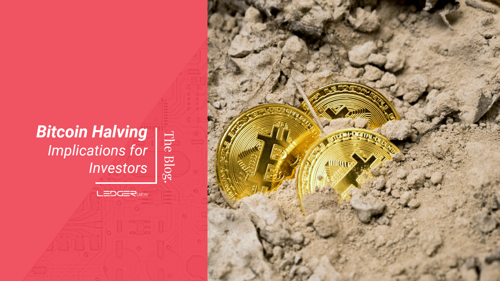 Bitcoin Halving - Funktionsweise und Implikationen für Investoren